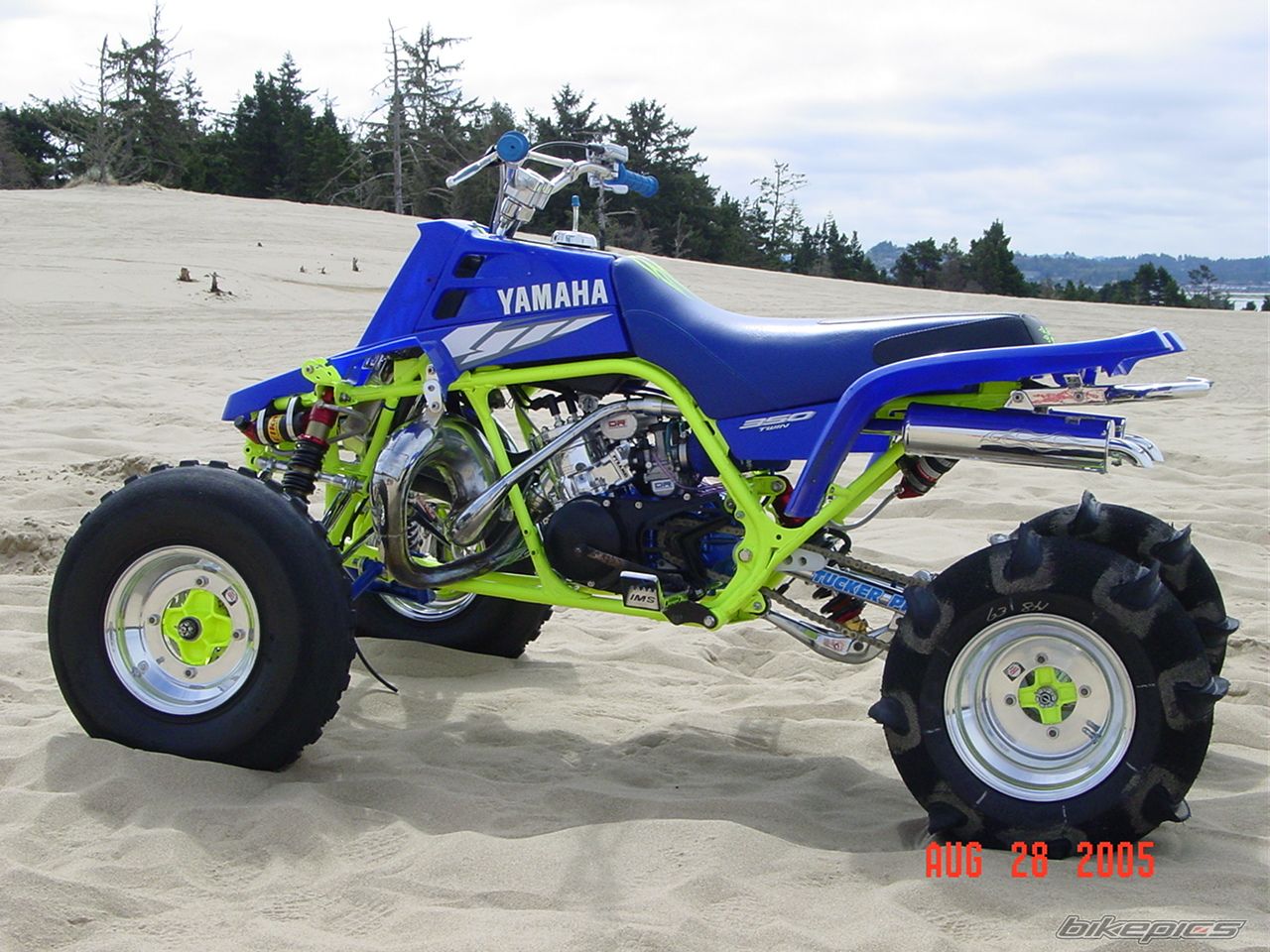 2005 YAMAHA BANSHEE | Picture 1090451 motorcycle photo