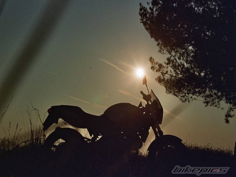 1999 HONDA VTR 250 | Picture 109248 motorcycle photo