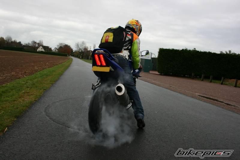 2003 SUZUKI SV 650S | Picture 1092740 motorcycle photo