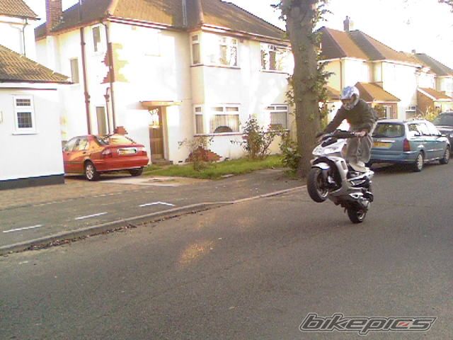 2003 PEUGEOT SPEEDFIGHT2 50 | Picture 1093195 motorcycle photo