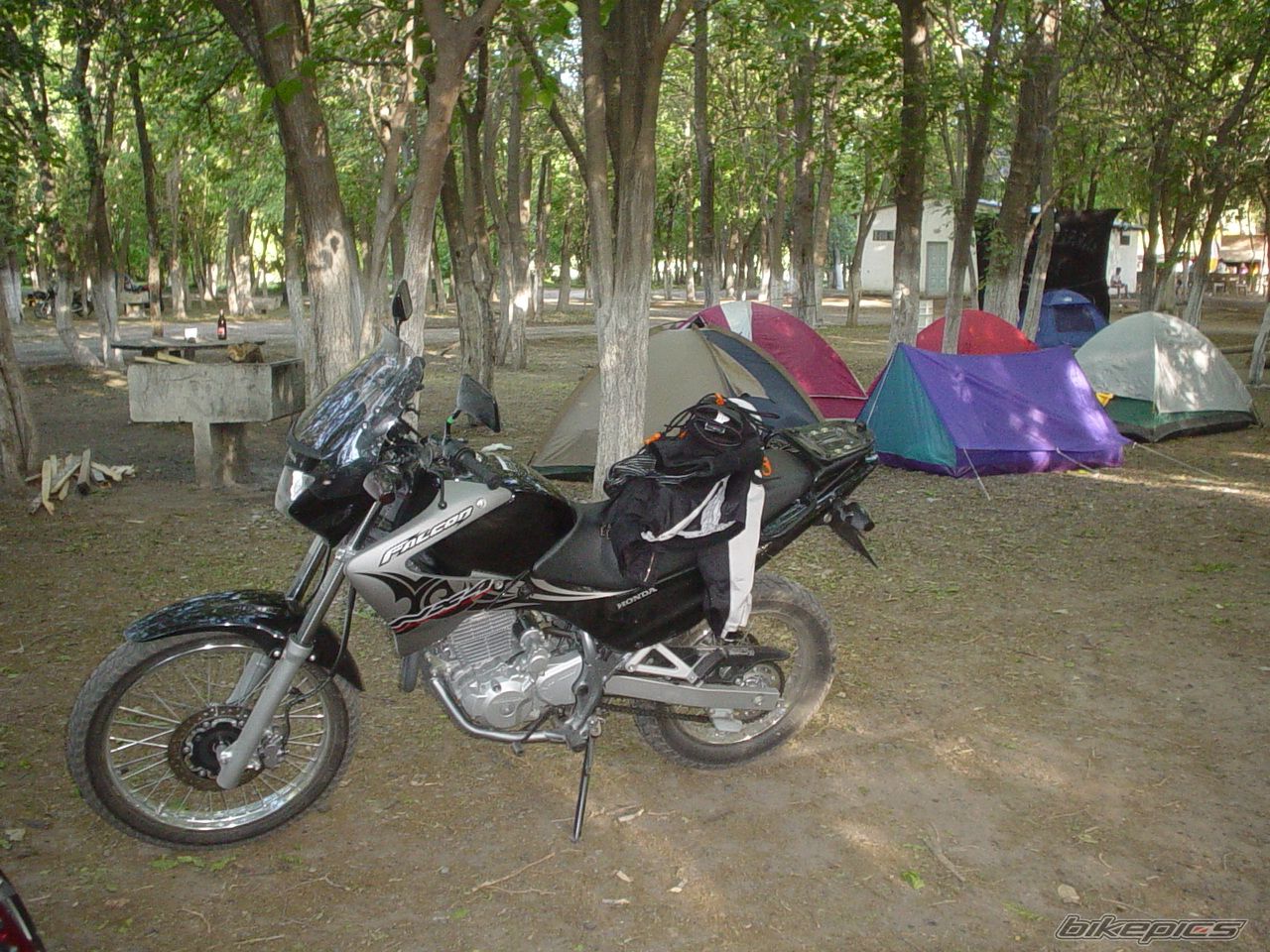 2006 HONDA NX 4 FALCON | Picture 1093343 motorcycle photo