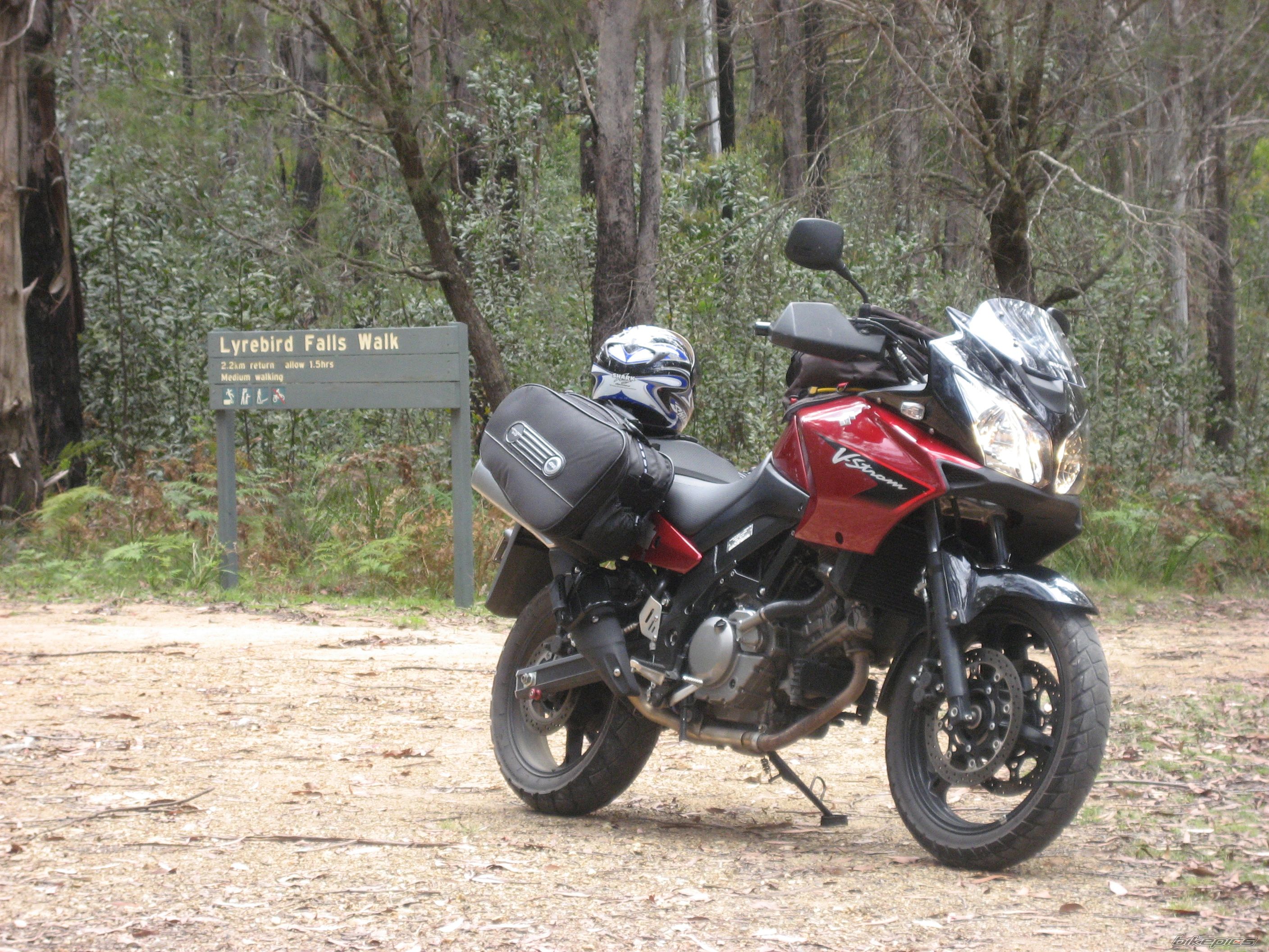 2007 SUZUKI V STROM 650 | Picture 1093559 motorcycle photo