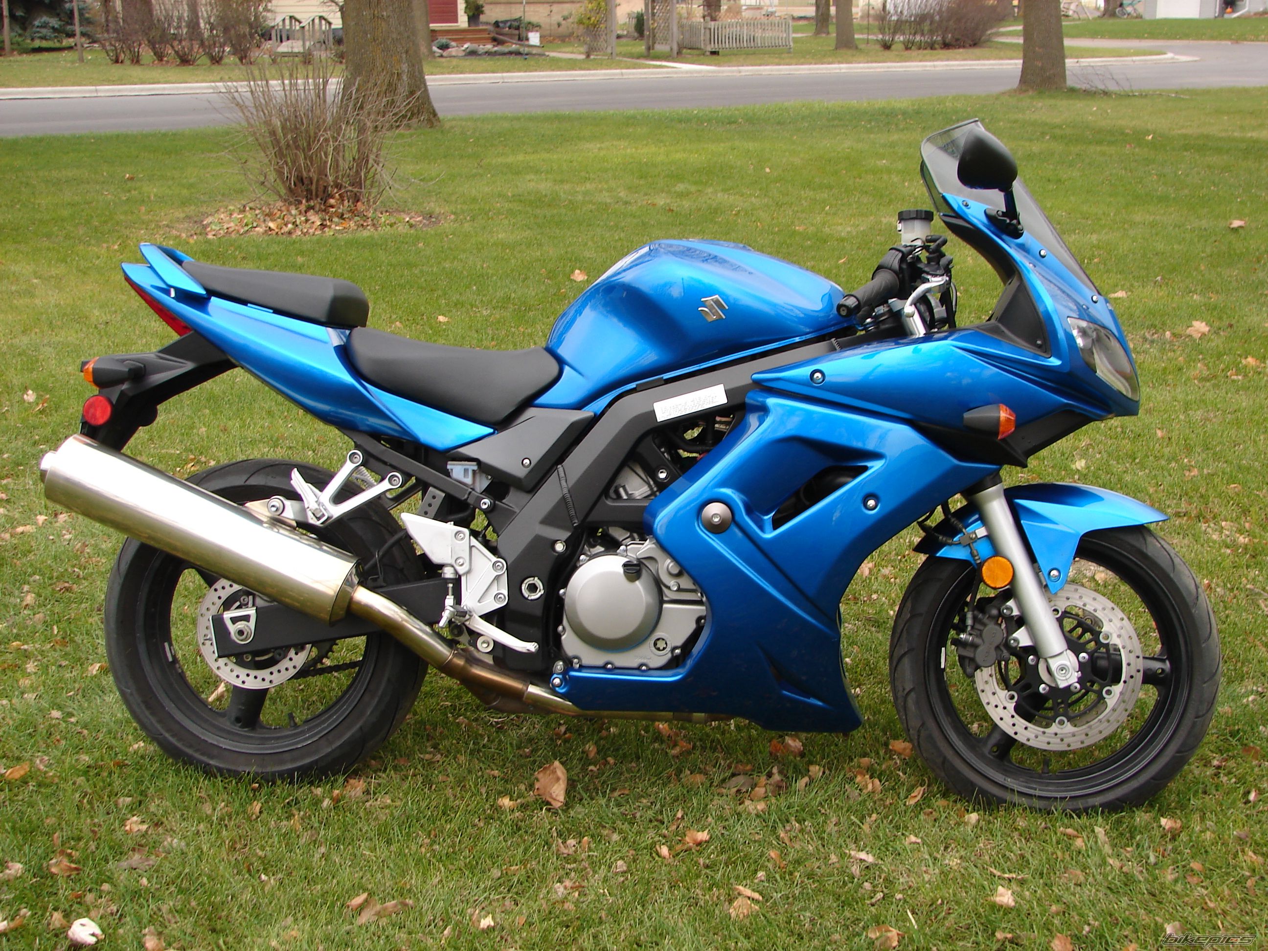 2006 SUZUKI SV 650S | Picture 1094221 motorcycle photo
