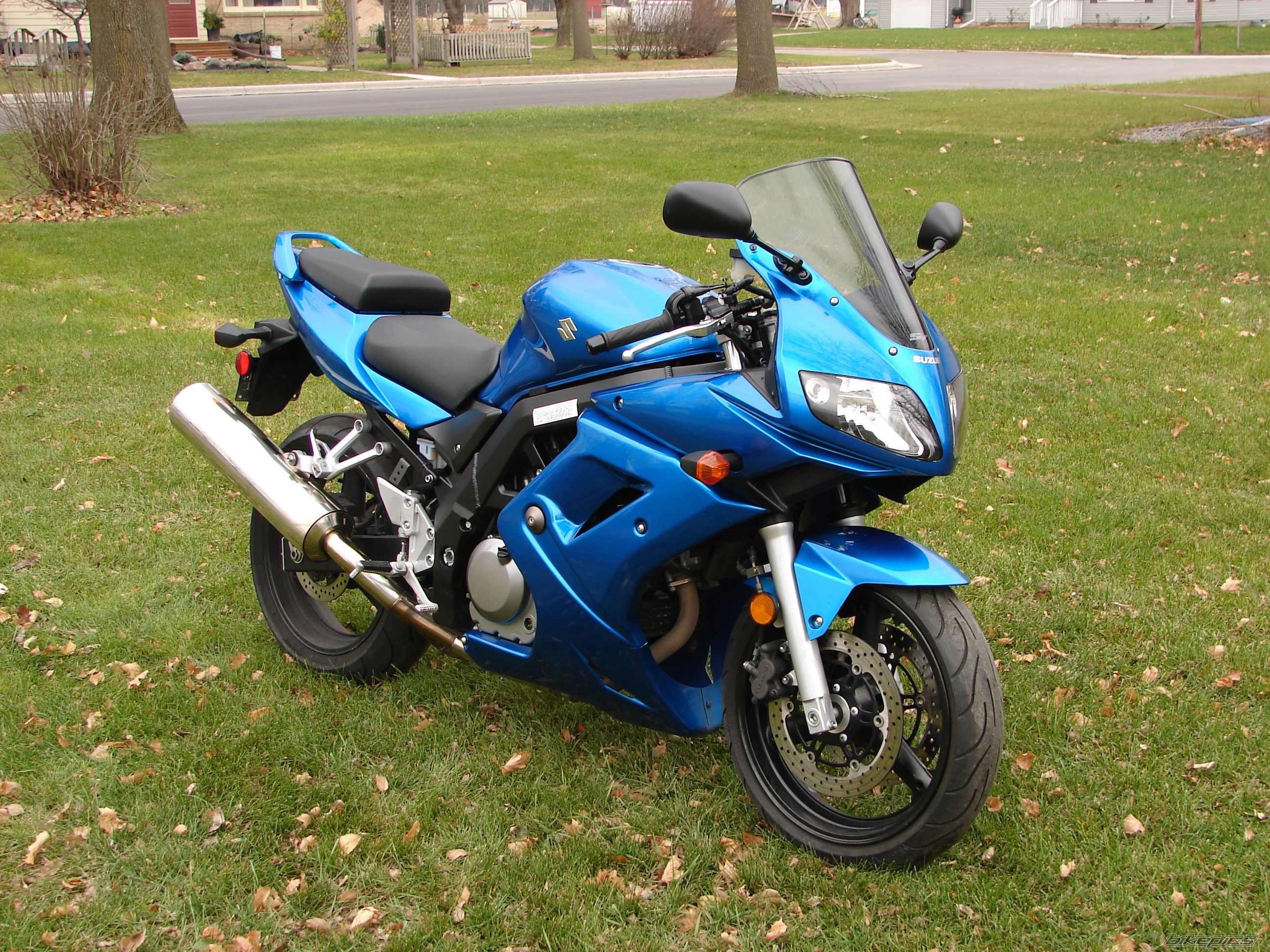 2006 SUZUKI SV 650S | Picture 1094223 motorcycle photo