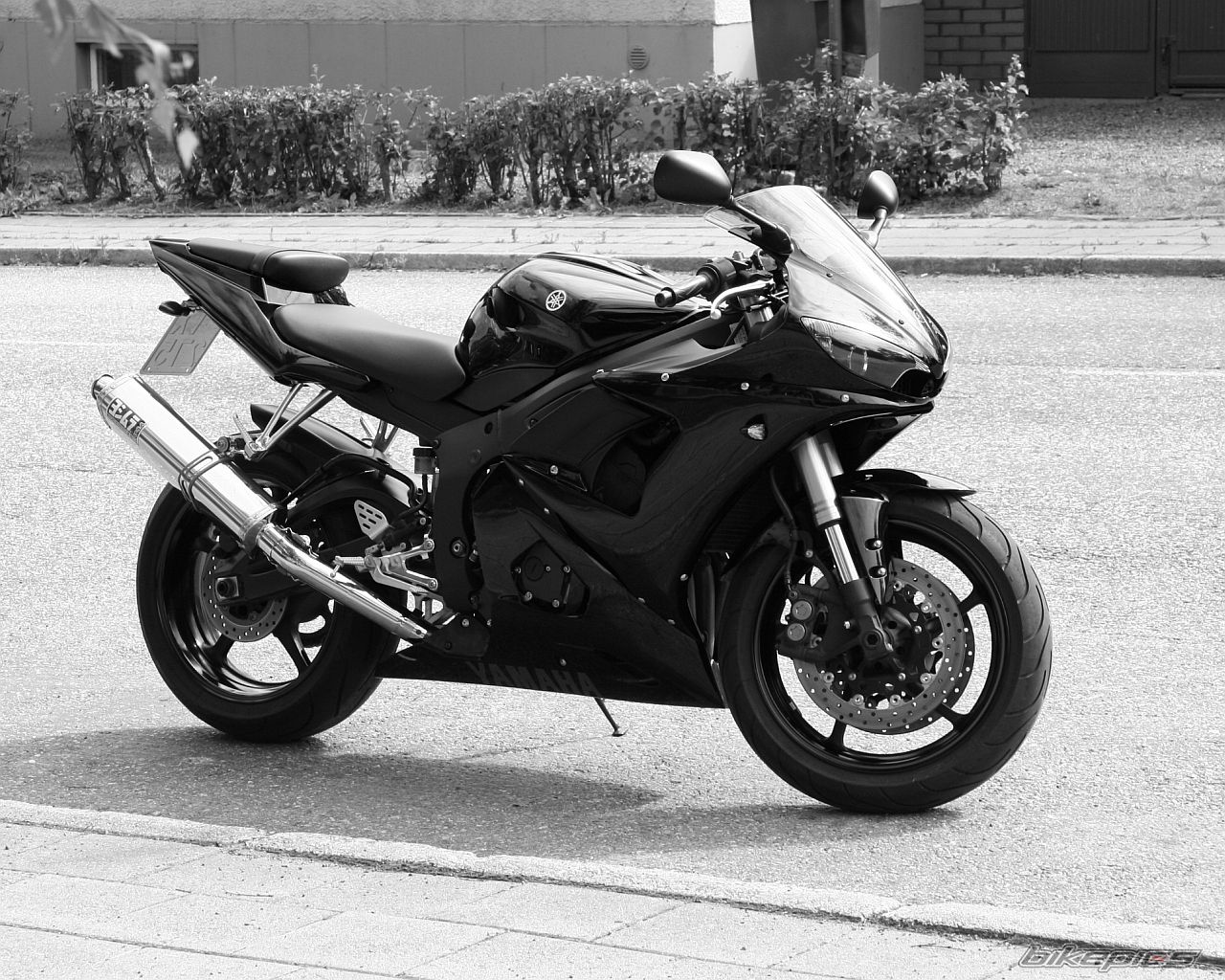 2005 YAMAHA YZF R6 | Picture 1094285 motorcycle photo