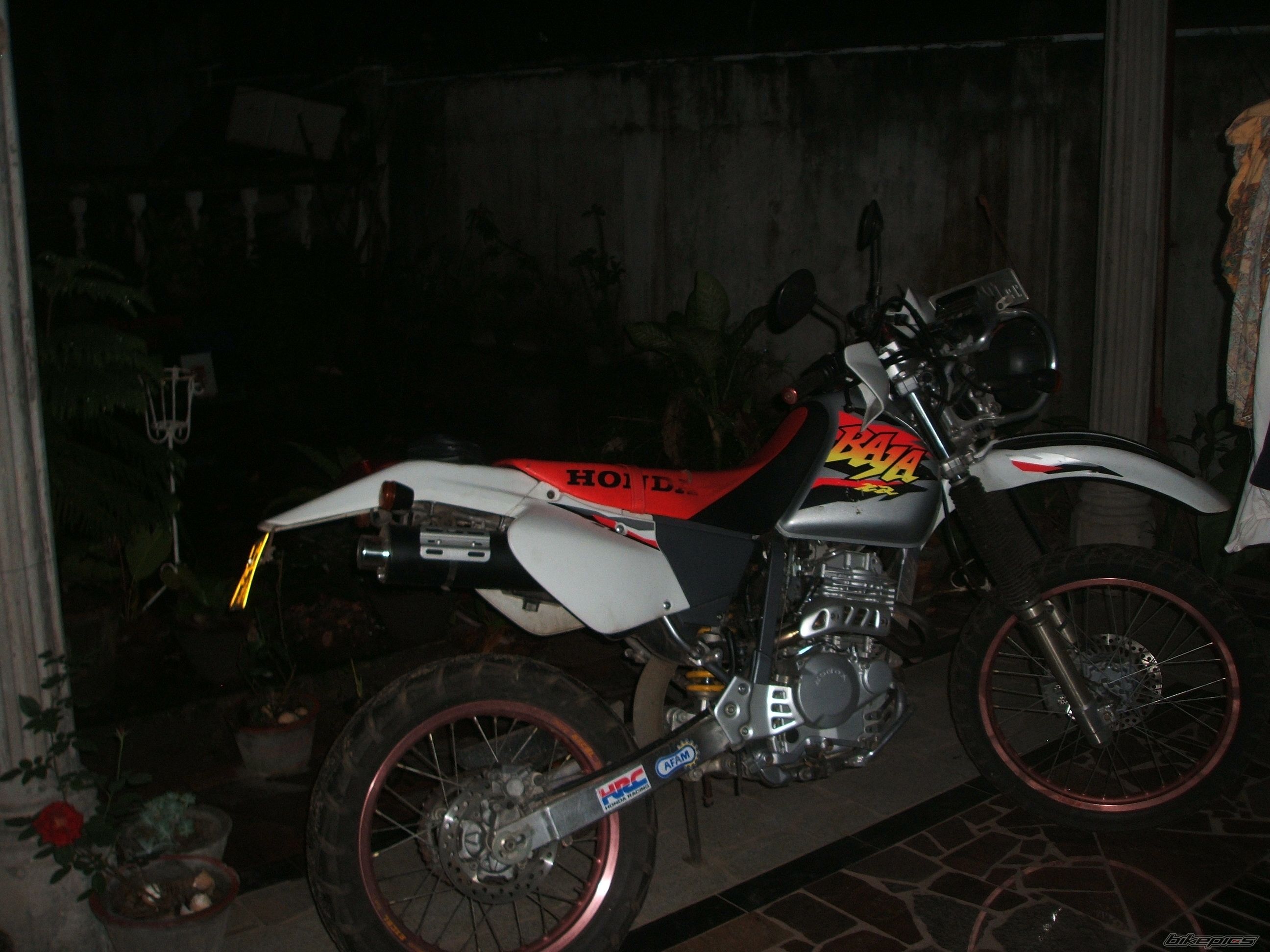 2001 HONDA XR 250 BAJA | Picture 1094441 motorcycle photo