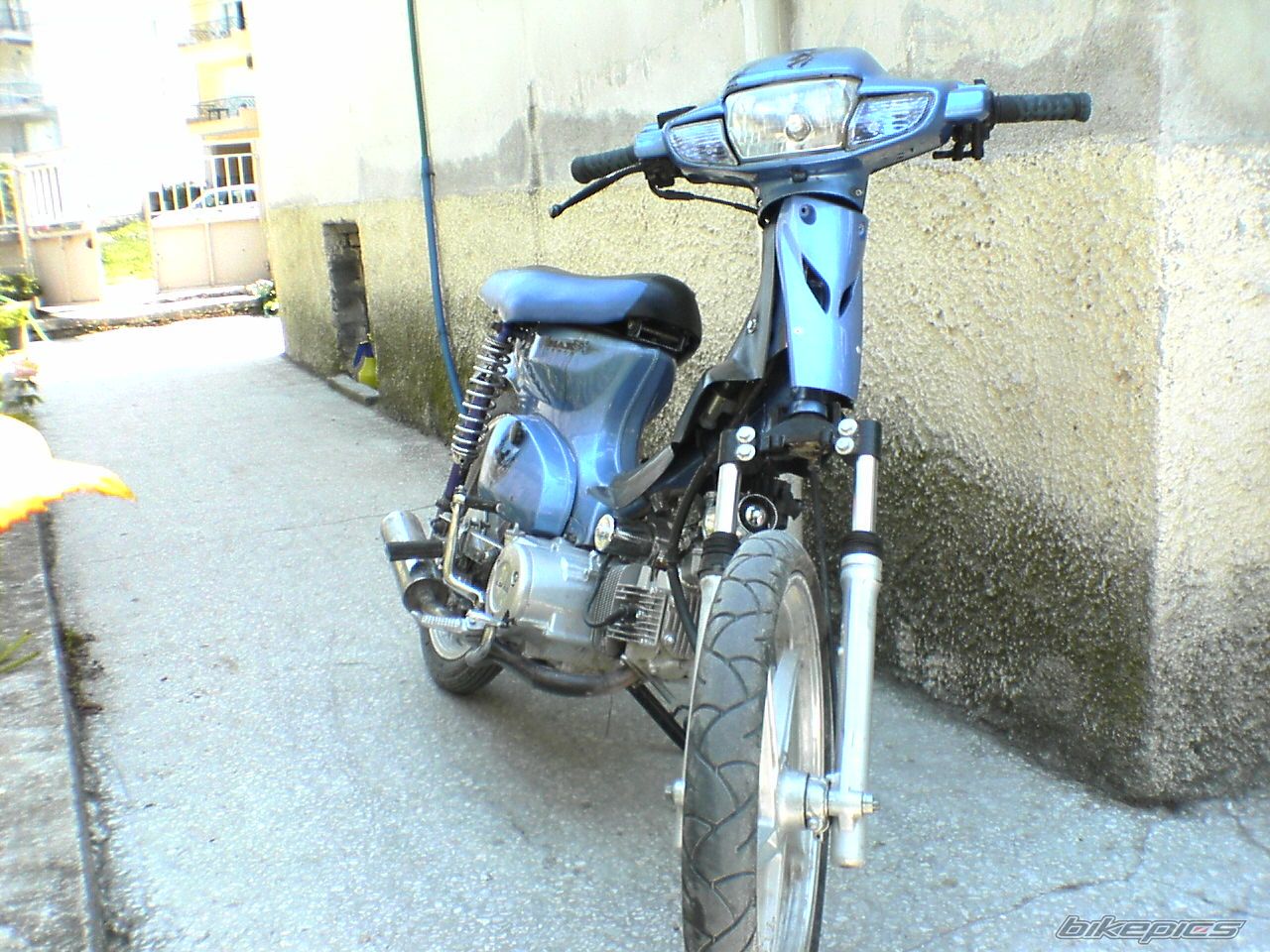 2008 HONDA SUPER CUB 50 | Picture 1094584 motorcycle photo