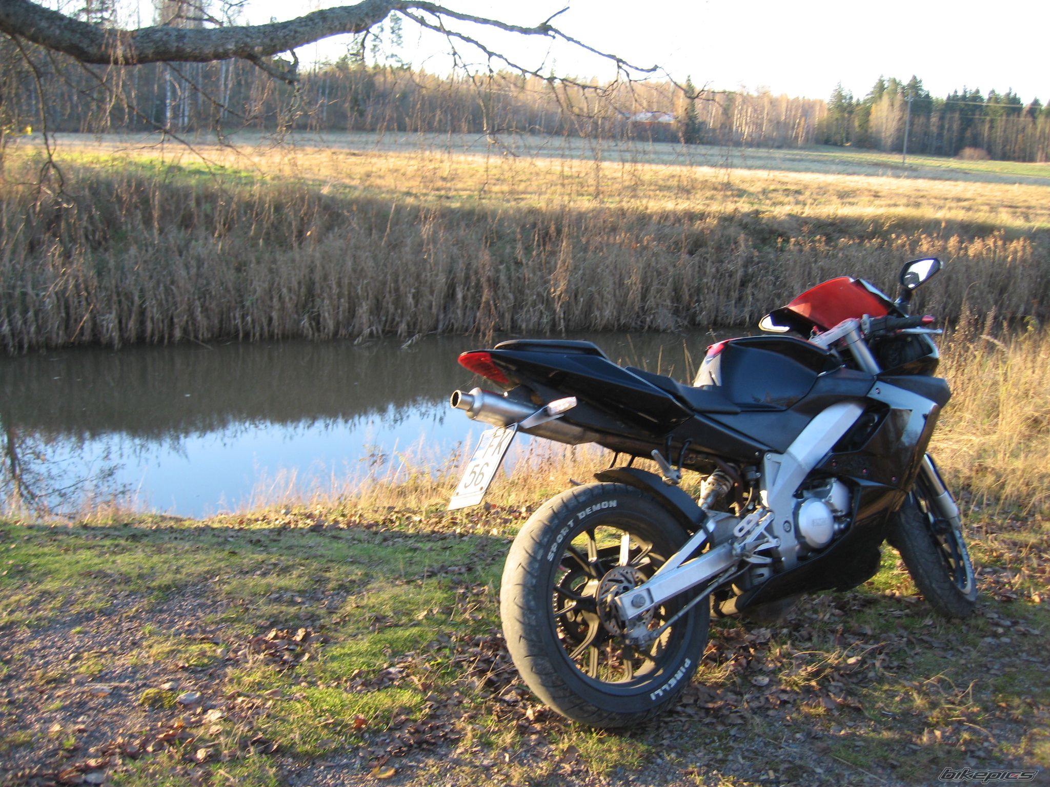 2006 DERBI GPR 125 | Picture 1094609 motorcycle photo