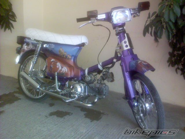 2008 HONDA GLX 50 | Picture 1095418 motorcycle photo