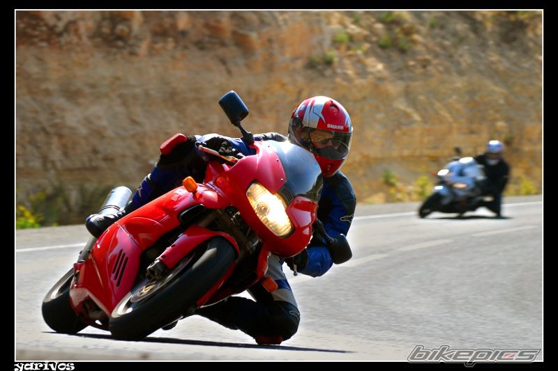 2003 DUCATI SS 1000 DS | Picture 1095651 motorcycle photo