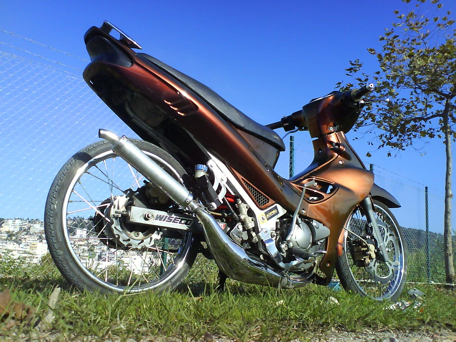2008 YAMAHA Z 125 | Picture 1095659 motorcycle photo