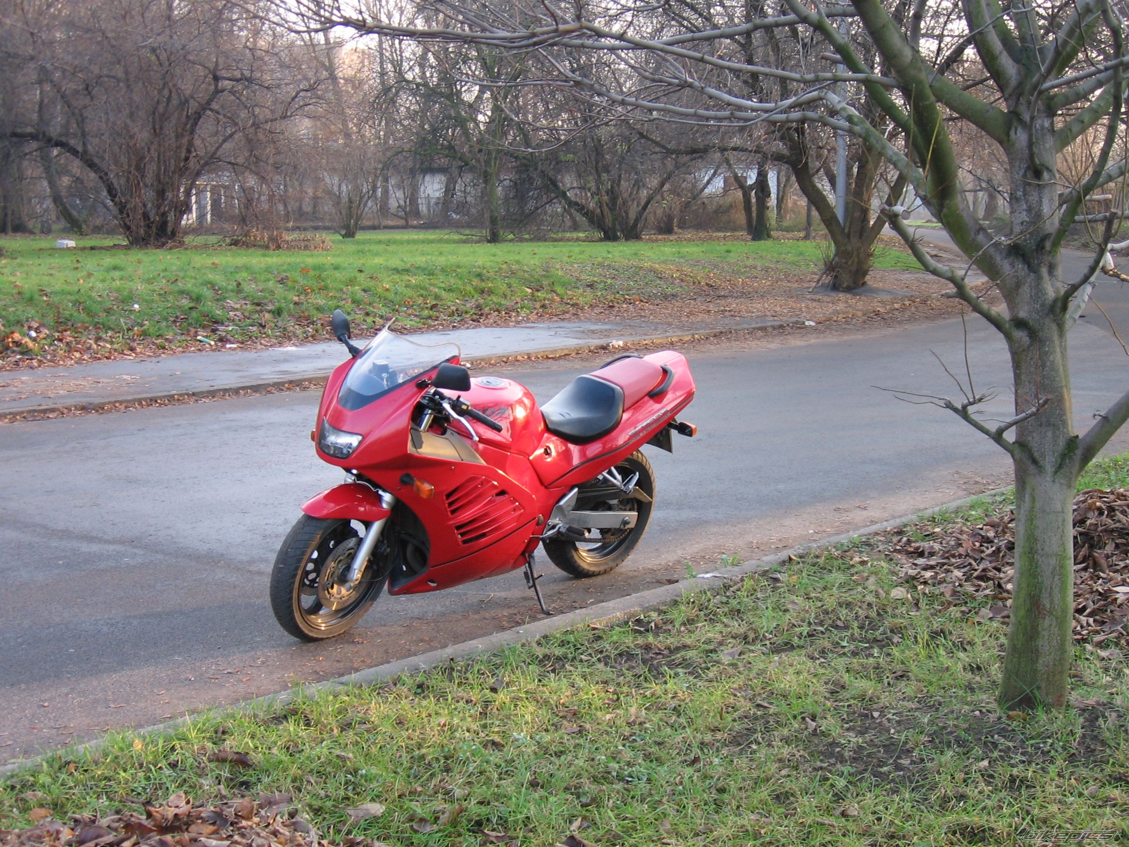 1993 SUZUKI RF 600 | Picture 1095734 motorcycle photo