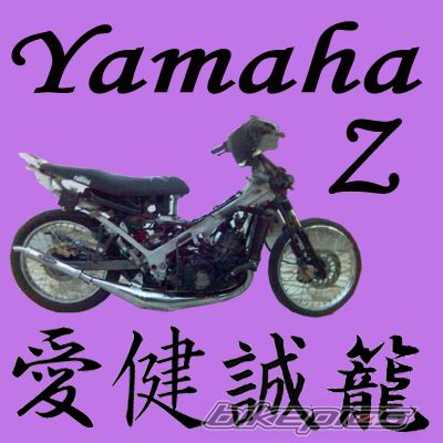 2006 YAMAHA Z 125 | Picture 1095802 motorcycle photo