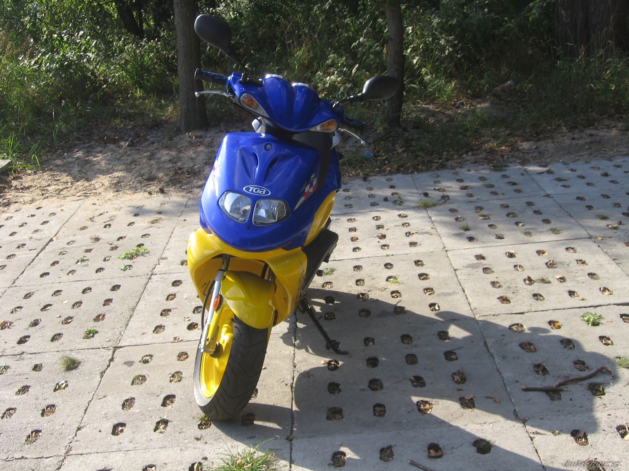 2005 TGB 303 RS | Picture 1095842 motorcycle photo