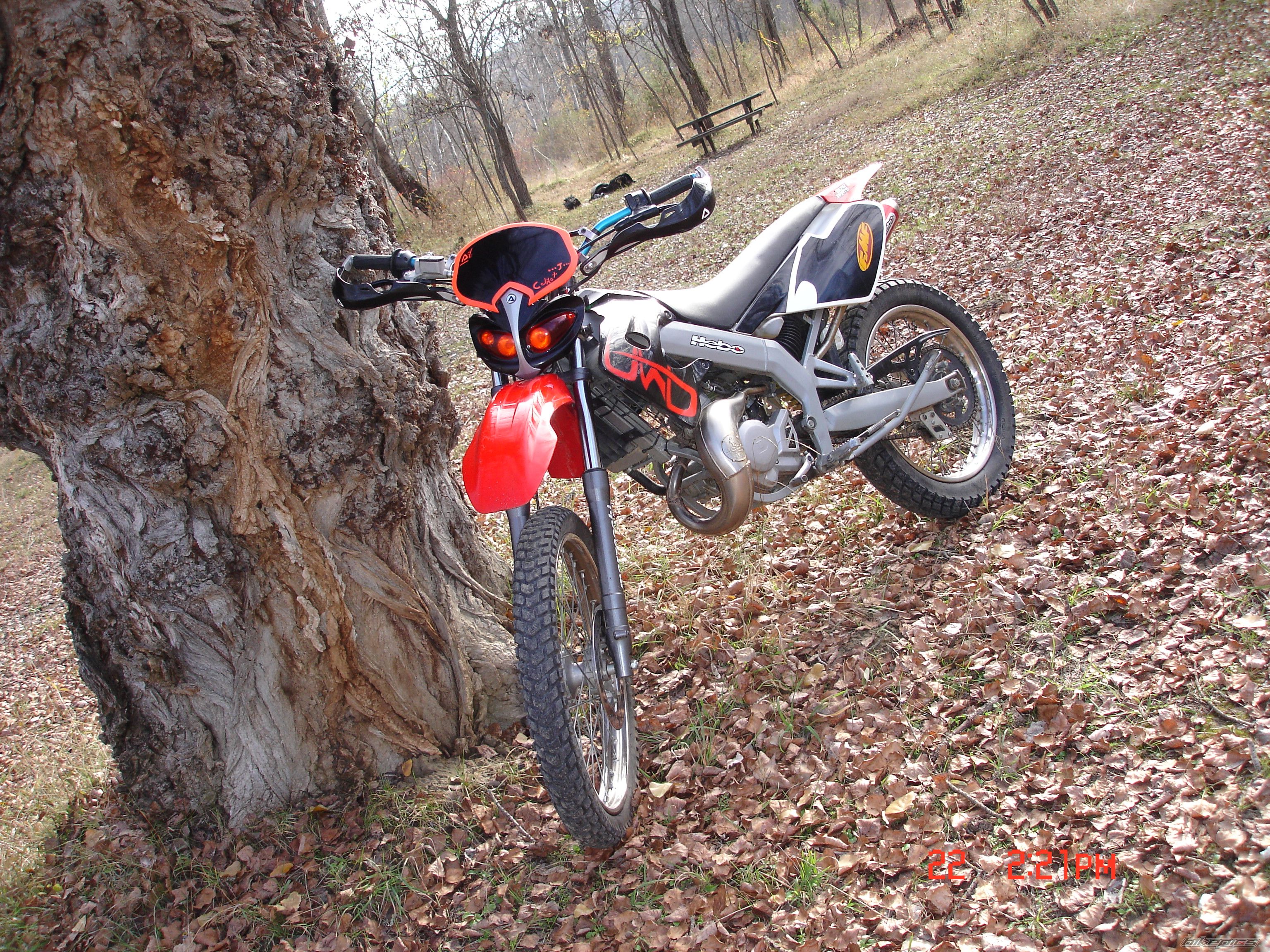 2007 DERBI SENDA XRACE SM 50 | Picture 1095921 motorcycle photo