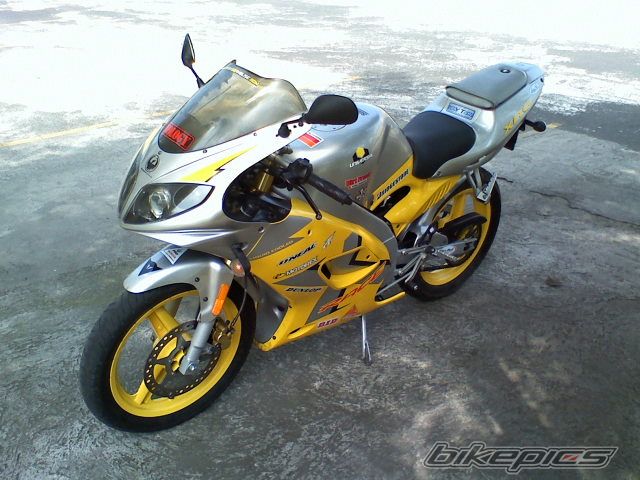 2004 PEUGEOT XR6 | Picture 1095984 motorcycle photo