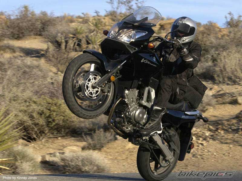 2007 SUZUKI V STROM 650 | Picture 1096249 motorcycle photo