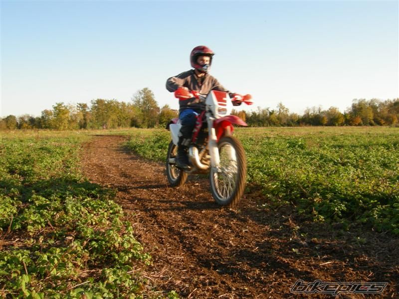 2006 HM CRE 50 | Picture 1096265 motorcycle photo