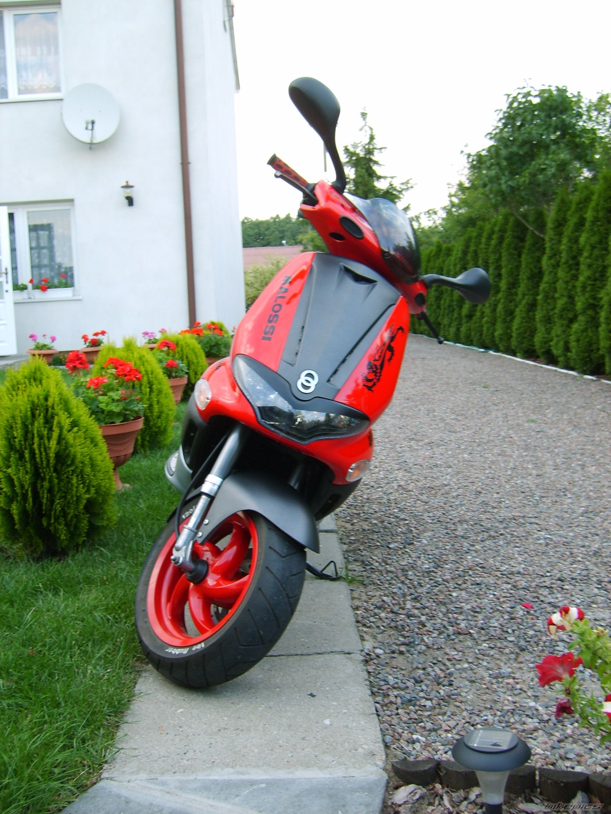 2004 GILERA RUNNER 50 | Picture 1096446 motorcycle photo