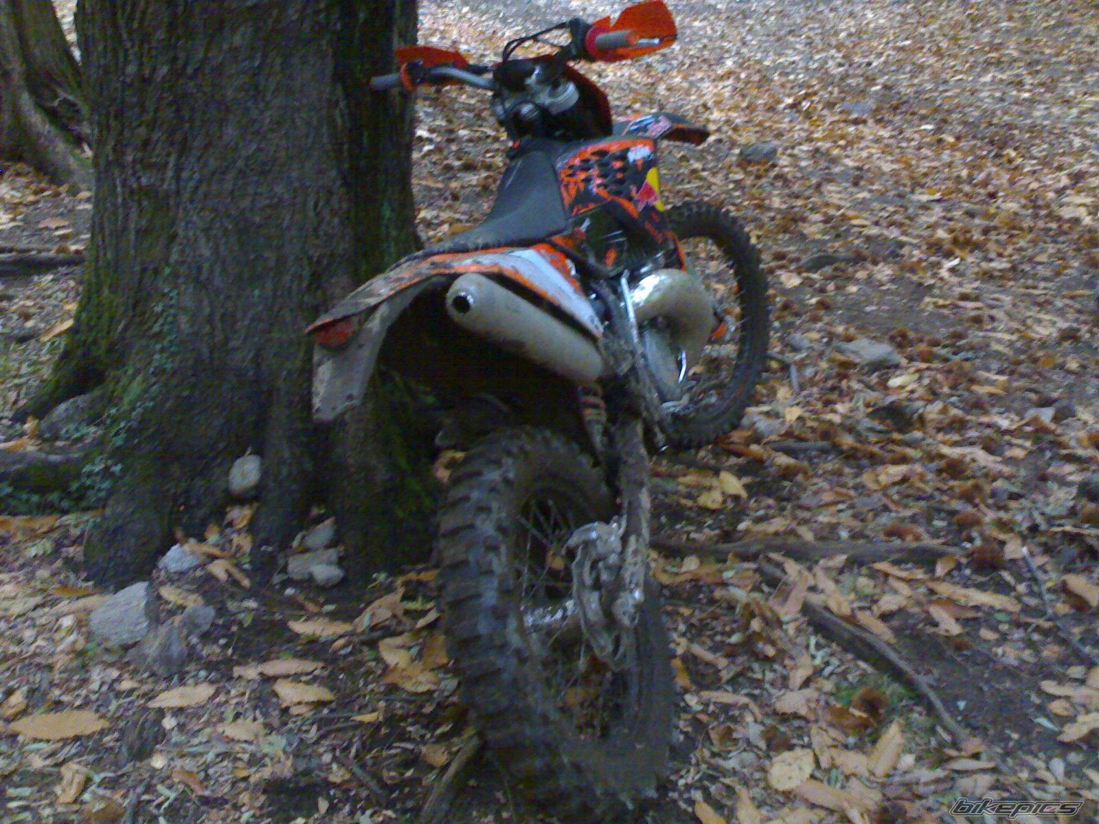 2008 KTM 250 EXC | Picture 1096914 motorcycle photo