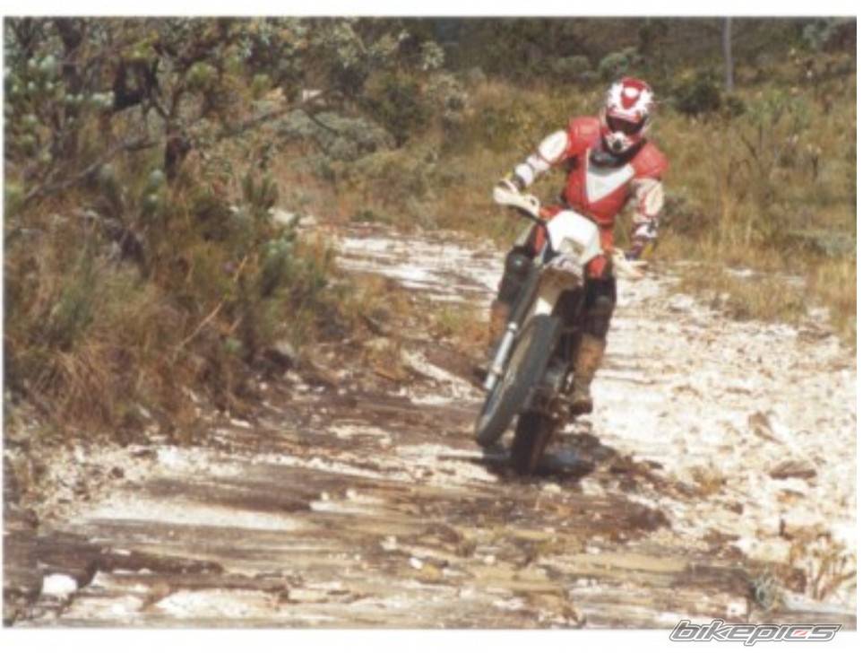 2001 HONDA XR 250 | Picture 109697 motorcycle photo