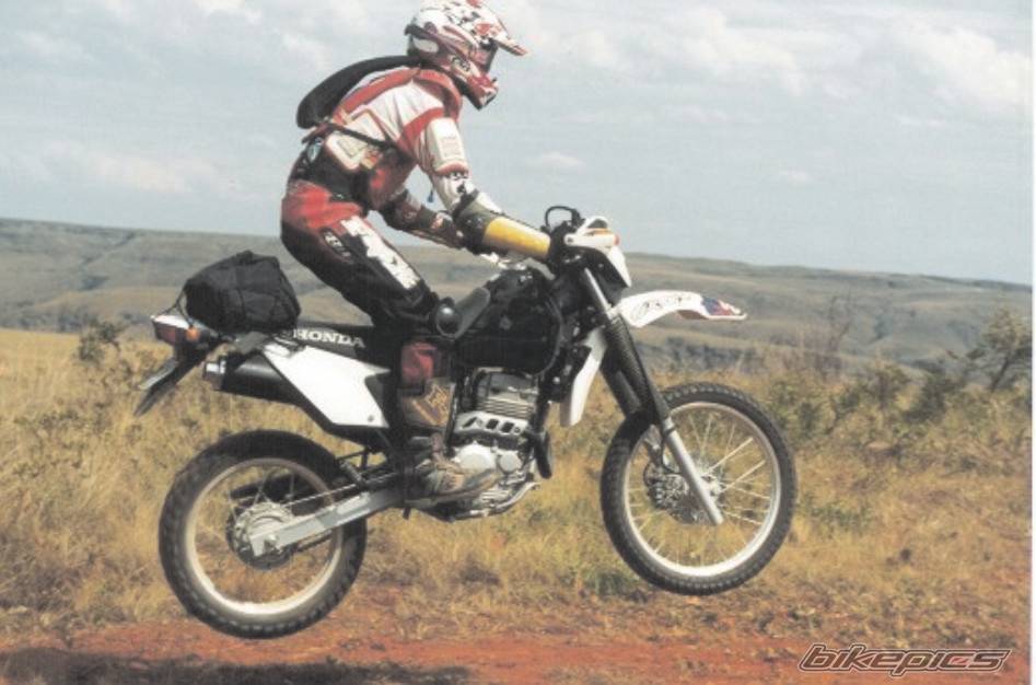 2001 HONDA XR 250 | Picture 109699 motorcycle photo
