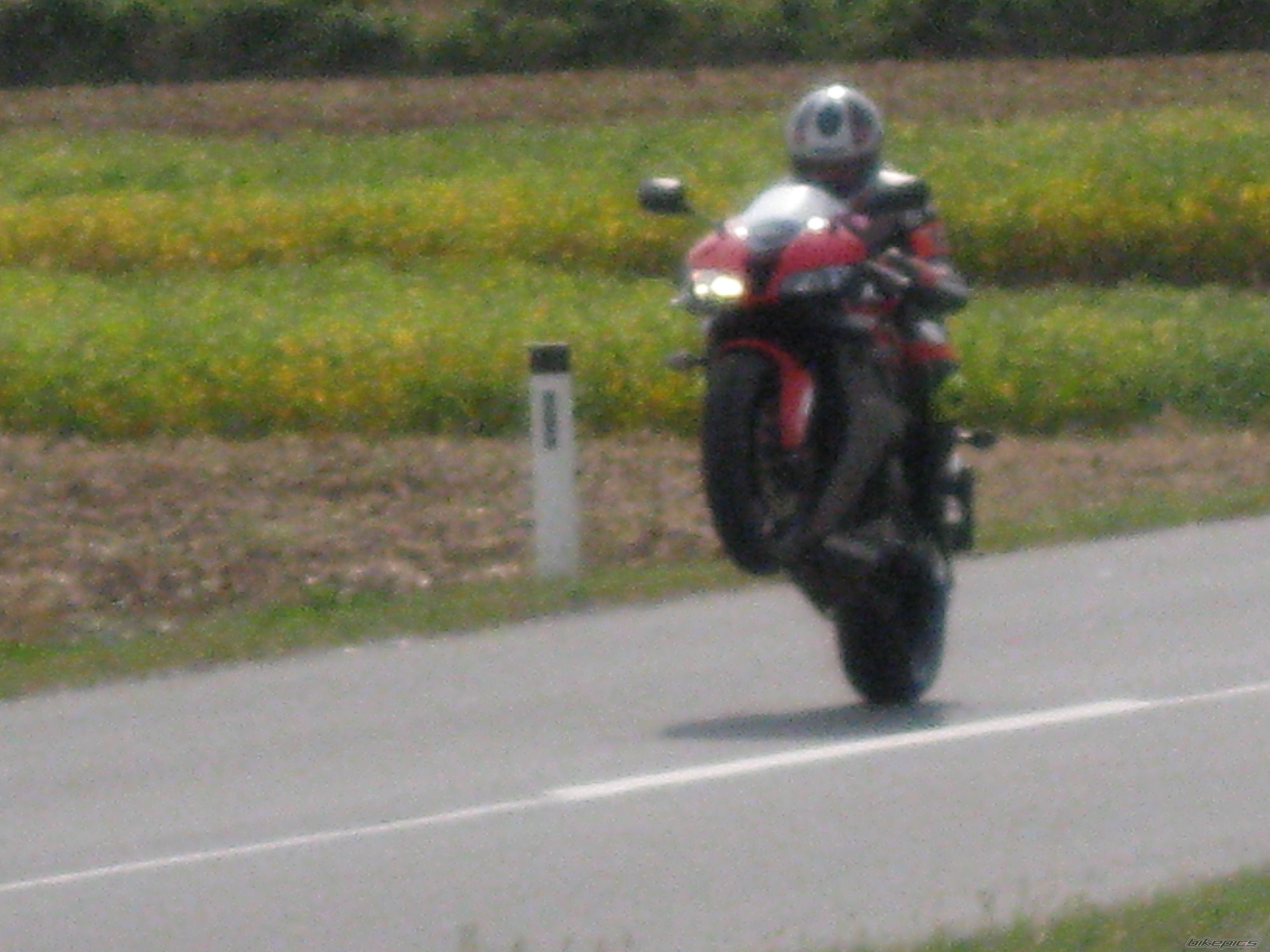 2009 YAMAHA FZ 1N | Picture 1098457 motorcycle photo