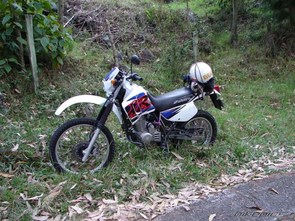 2001 HONDA XR 200 | Picture 1098526 motorcycle photo