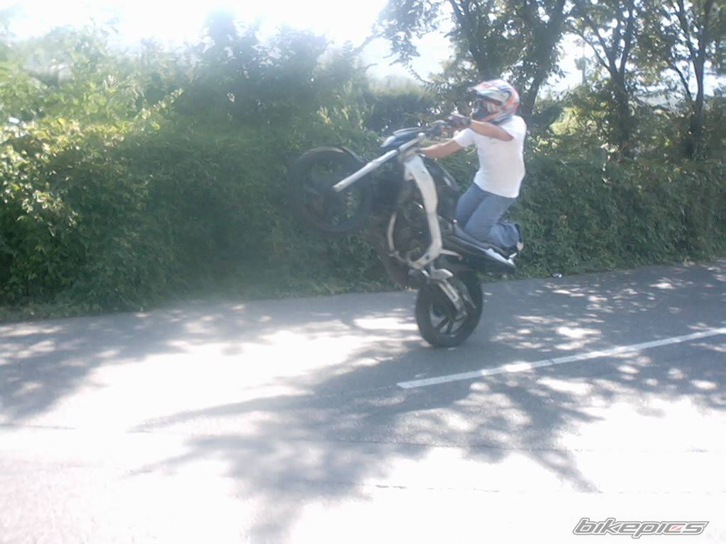 2001 PEUGEOT VIVACITY | Picture 109870 motorcycle photo