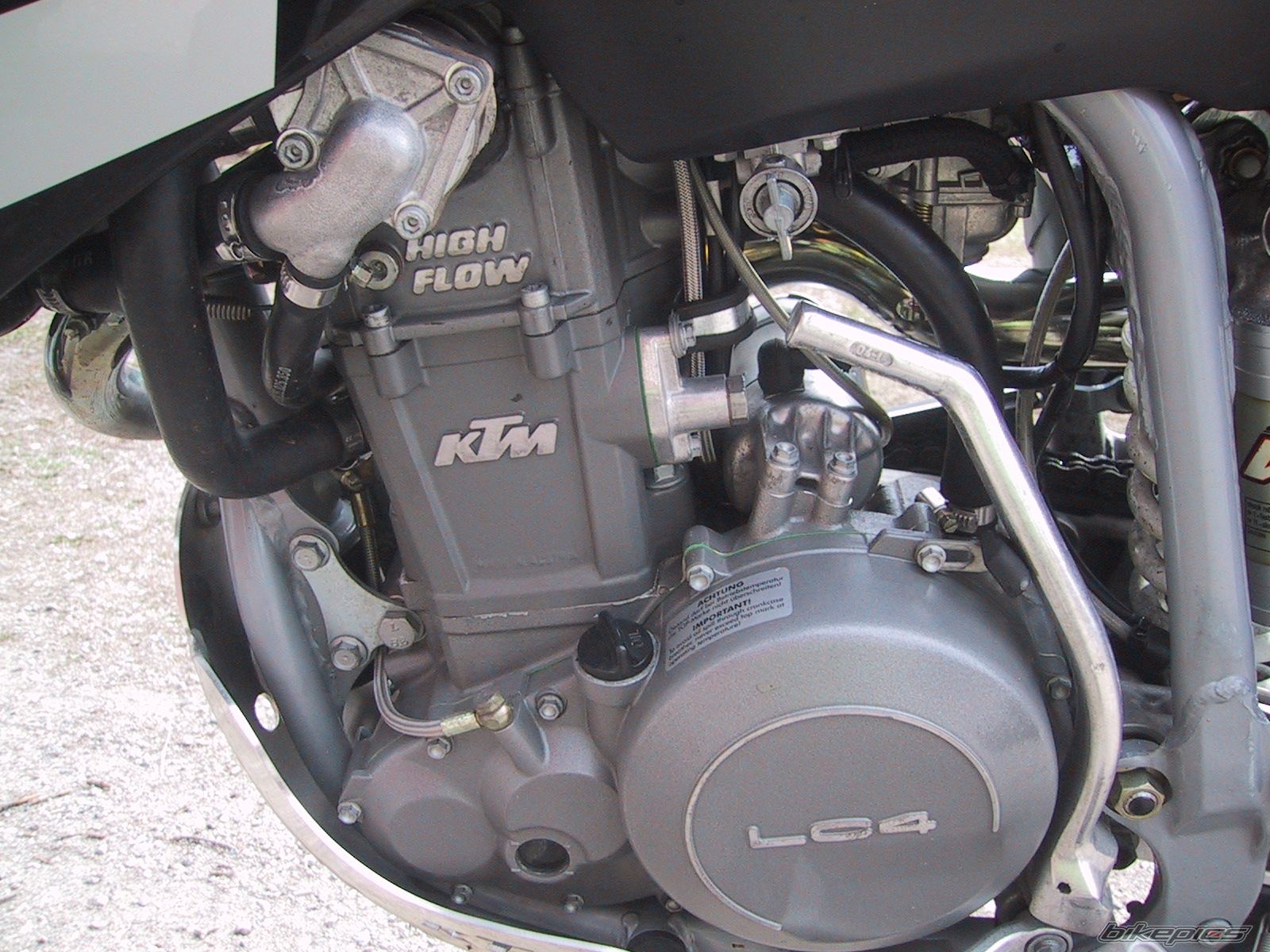 1999 HONDA Z 50 | Picture 1098899 motorcycle photo