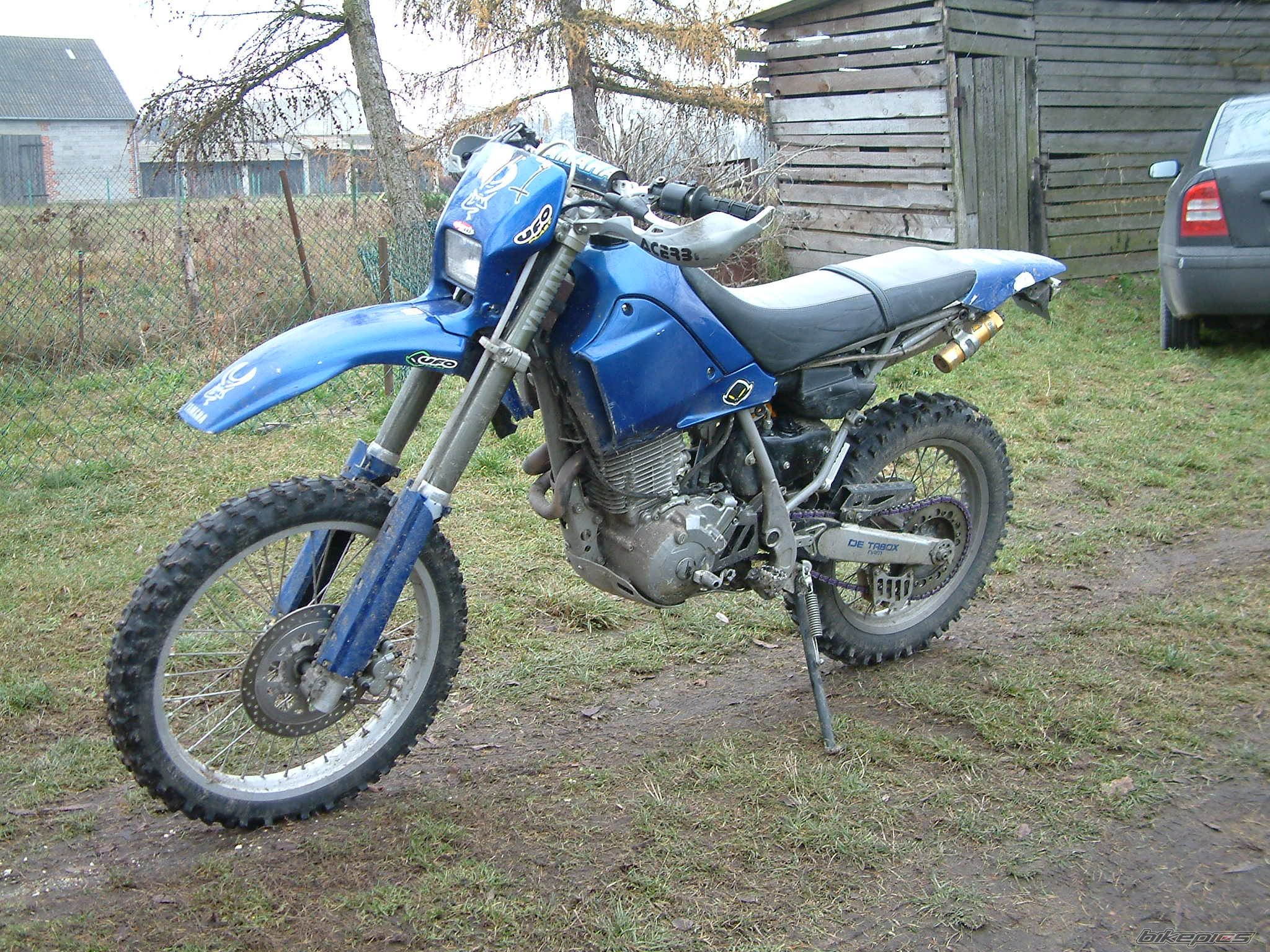 1995 YAMAHA TTR 600 | Picture 1099063 motorcycle photo