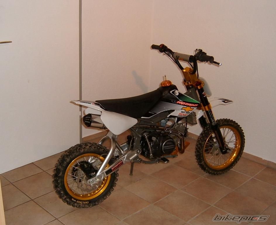2006 HONDA CRF 50 | Picture 1099172 motorcycle photo