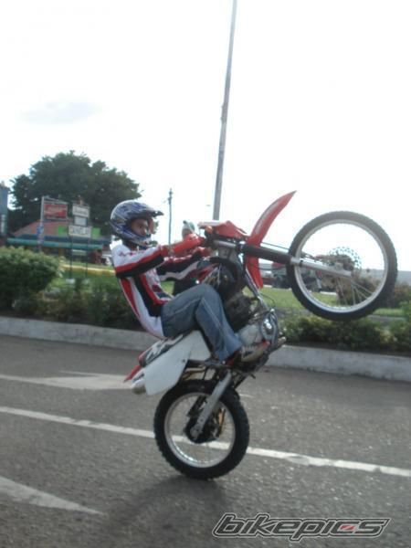 2008 HONDA XR 200 | Picture 1099636 motorcycle photo