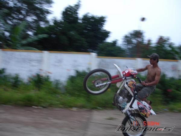 2008 HONDA XR 200 | Picture 1099638 motorcycle photo
