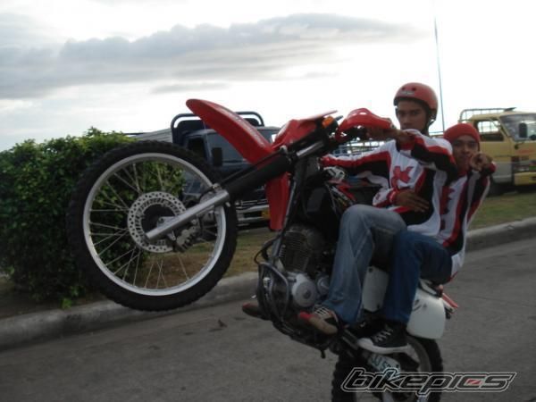 2008 HONDA XR 200 | Picture 1099640 motorcycle photo