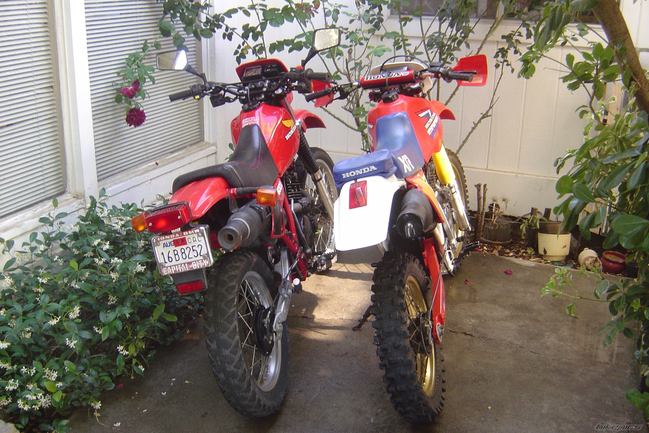 1985 HONDA XR 600 | Picture 1100292 motorcycle photo