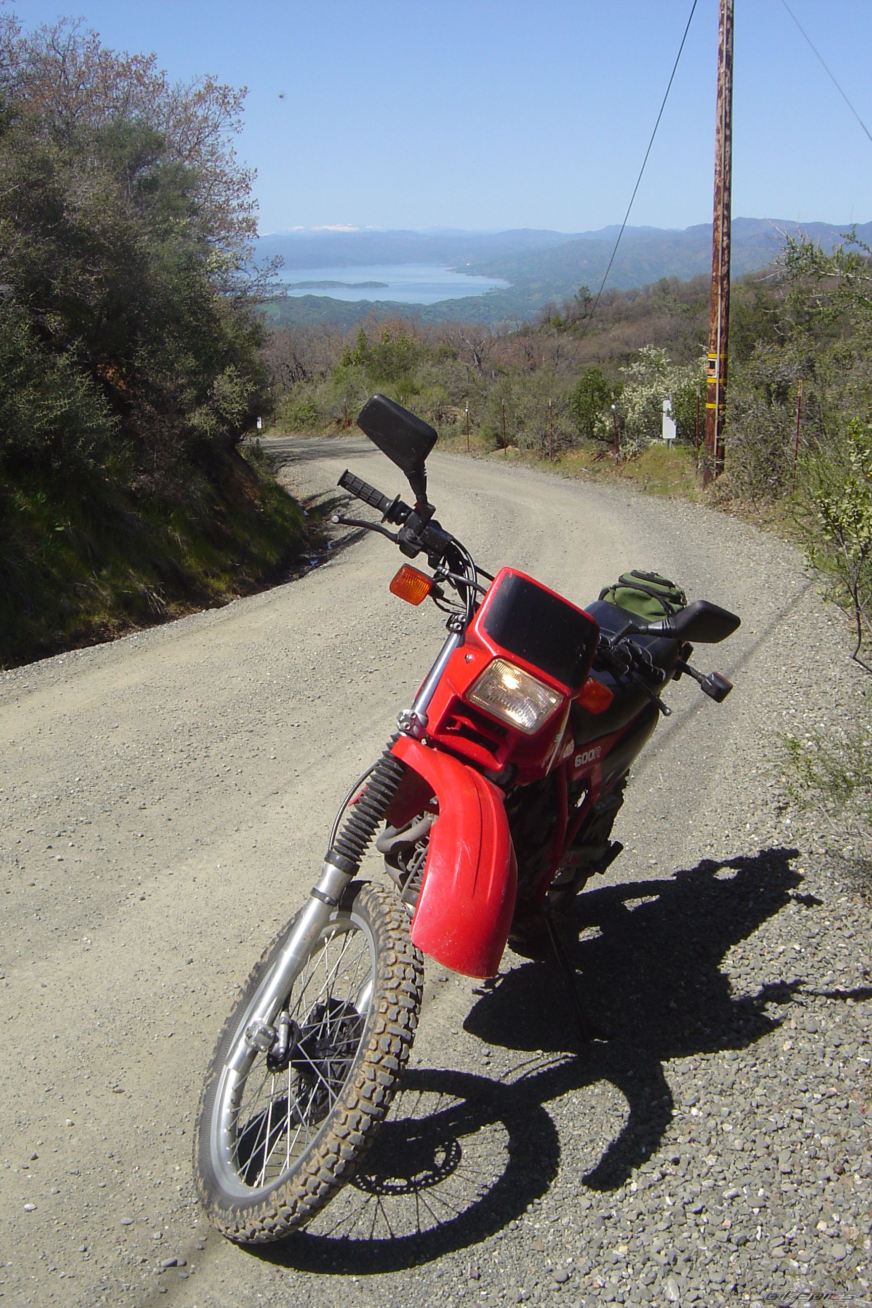 1983 HONDA XL 600 | Picture 1100293 motorcycle photo