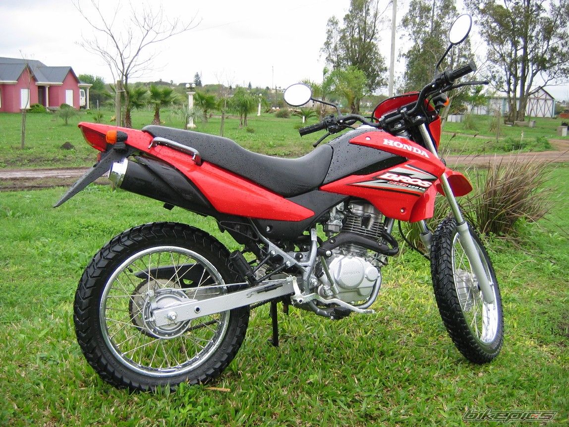 2008 HONDA NXR 125 | Picture 1100629 motorcycle photo