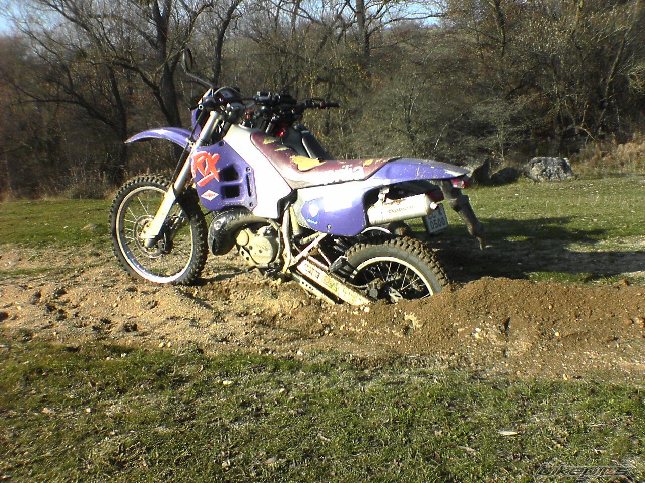 1993 APRILIA RX 125 | Picture 1101120 motorcycle photo