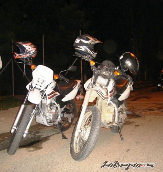 2008 HONDA NXR 125 | Picture 1101237 motorcycle photo