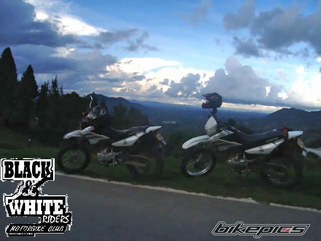 2008 HONDA NXR 125 | Picture 1101239 motorcycle photo