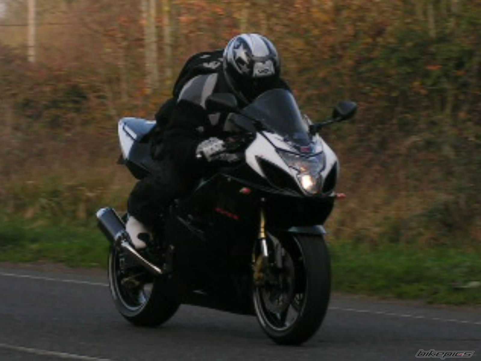 2004 SUZUKI GSX R 600 | Picture 1101339 motorcycle photo