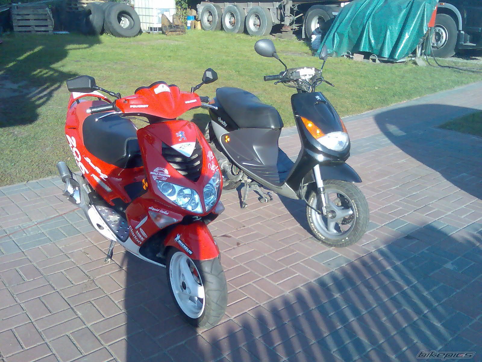 2004 PEUGEOT WRC 206 | Picture 1101599 motorcycle photo