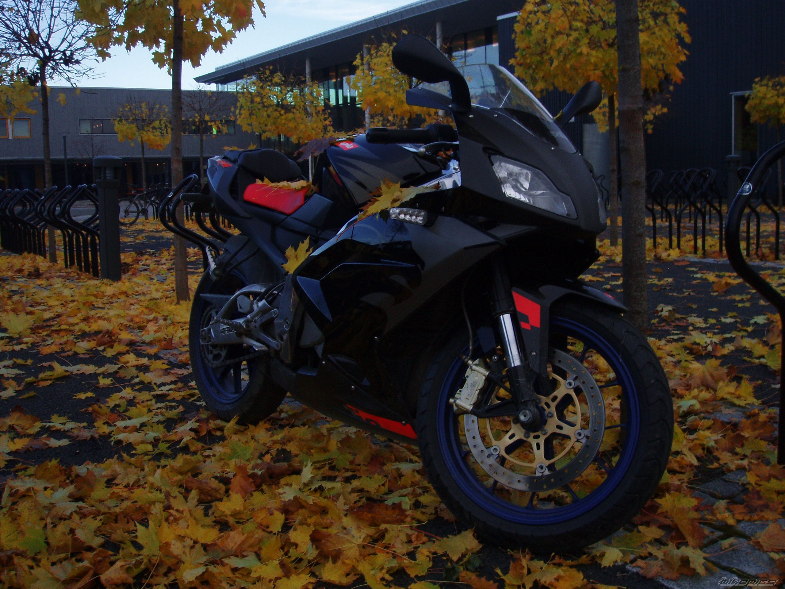 2006 APRILIA RS 125 | Picture 1101728 motorcycle photo