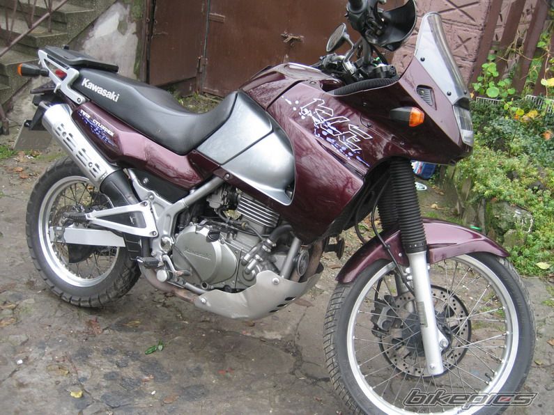 2000 KAWASAKI KLE 500 | Picture 1101769 motorcycle photo