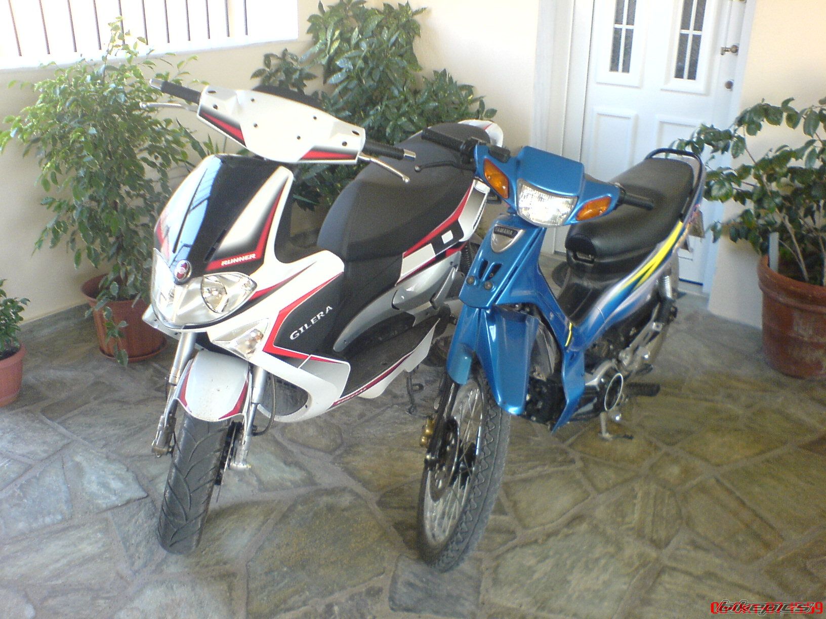 2008 GILERA RUNNER 50 | Picture 1101785 motorcycle photo