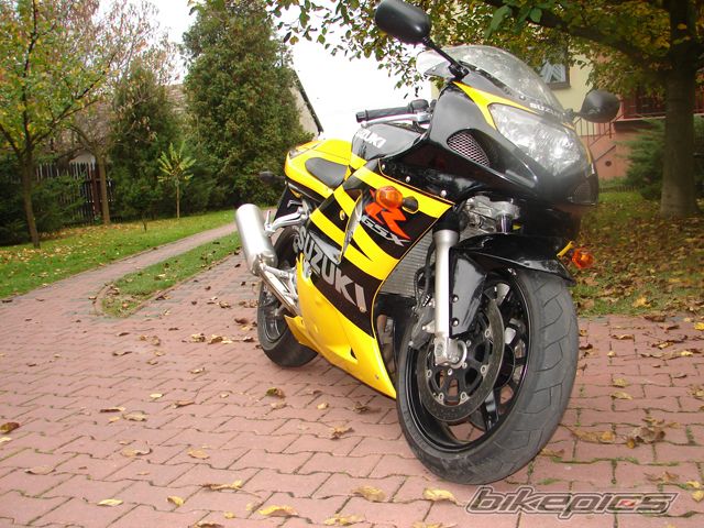 2003 SUZUKI GSX R 600 | Picture 1101955 motorcycle photo