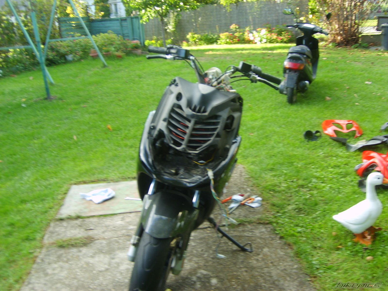    | Picture 1102104 motorcycle photo