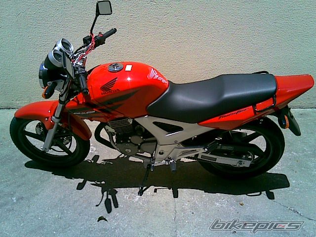 2008 HONDA CBX 250 | Picture 1102182 motorcycle photo