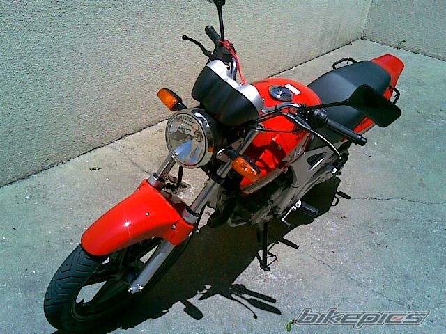 2008 HONDA CBX 250 | Picture 1102183 motorcycle photo